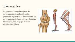 Biomecánica
La biomecánica es el conjunto de
conocimientos interdisciplinarios
generados a partir de la aplicación de los
conocimientos de la mecánica y distintas
tecnologías, con el apoyo de otras
ciencias biomédicas.
 