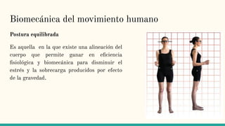 Biomecánica del movimiento humano
Postura equilibrada
Es aquella en la que existe una alineación del
cuerpo que permite ganar en eﬁciencia
ﬁsiológica y biomecánica para disminuir el
estrés y la sobrecarga producidos por efecto
de la gravedad.
 