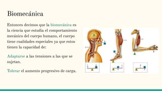 Biomecánica
Entonces decimos que la biomecánica es
la ciencia que estudia el comportamiento
mecánico del cuerpo humano, el cuerpo
tiene cualidades especiales ya que estos
tienen la capacidad de:
Adaptarse a las tensiones a las que se
sujetan.
Tolerar el aumento progresivo de carga.
 