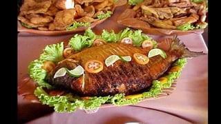 Brasil: Índios 2020