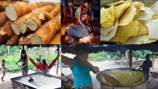 Brasil: Índios 2020