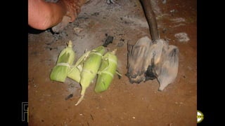 Brasil: Índios 2020