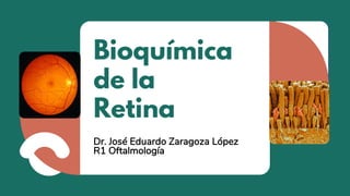Bioquímica
de la
Retina
Dr. José Eduardo Zaragoza López
R1 Oftalmología
 