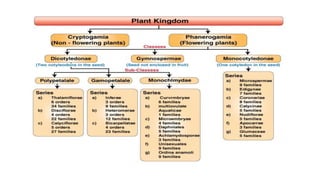 B.sc.ii intro.+asteraceae | PPT
