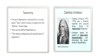 B.sc.ii intro.+asteraceae | PPT