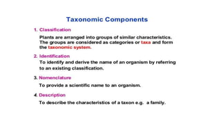 B.sc.ii intro.+asteraceae | PPT