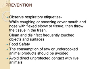 PREVENTION
 Observe respiratory etiquettes-
While coughing or sneezing cover mouth and
nose with flexed elbow or tissue, then throw
the tissue in the trash.
Clean and disinfect frequently touched
objects and surfaces
 Food Safety
 The consumption of raw or undercooked
animal products should be avoided
 Avoid direct unprotected contact with live
animals
 