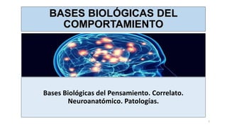 BASES BIOLÓGICAS DEL
COMPORTAMIENTO
1
Bases Biológicas del Pensamiento. Correlato.
Neuroanatómico. Patologías.
 
