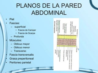 PLANOS DE LA PARED
ABDOMINAL
• Piel
• Fascias:
– superficial
• Fascia de Camper
• Fascia de Scarpa
– Profunda
• Músculos:
– Oblicuo mayor
– Oblicuo menor
– Transverso
• Fascia transversalis
• Grasa preperitoneal
• Peritoneo parietal
 