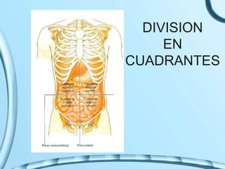 DIVISION
EN
CUADRANTES
 