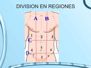 DIVISION EN REGIONES
 