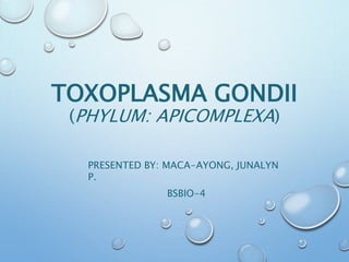 TOXOPLASMA GONDII
(PHYLUM: APICOMPLEXA)
PRESENTED BY: MACA-AYONG, JUNALYN
P.
BSBIO-4
 