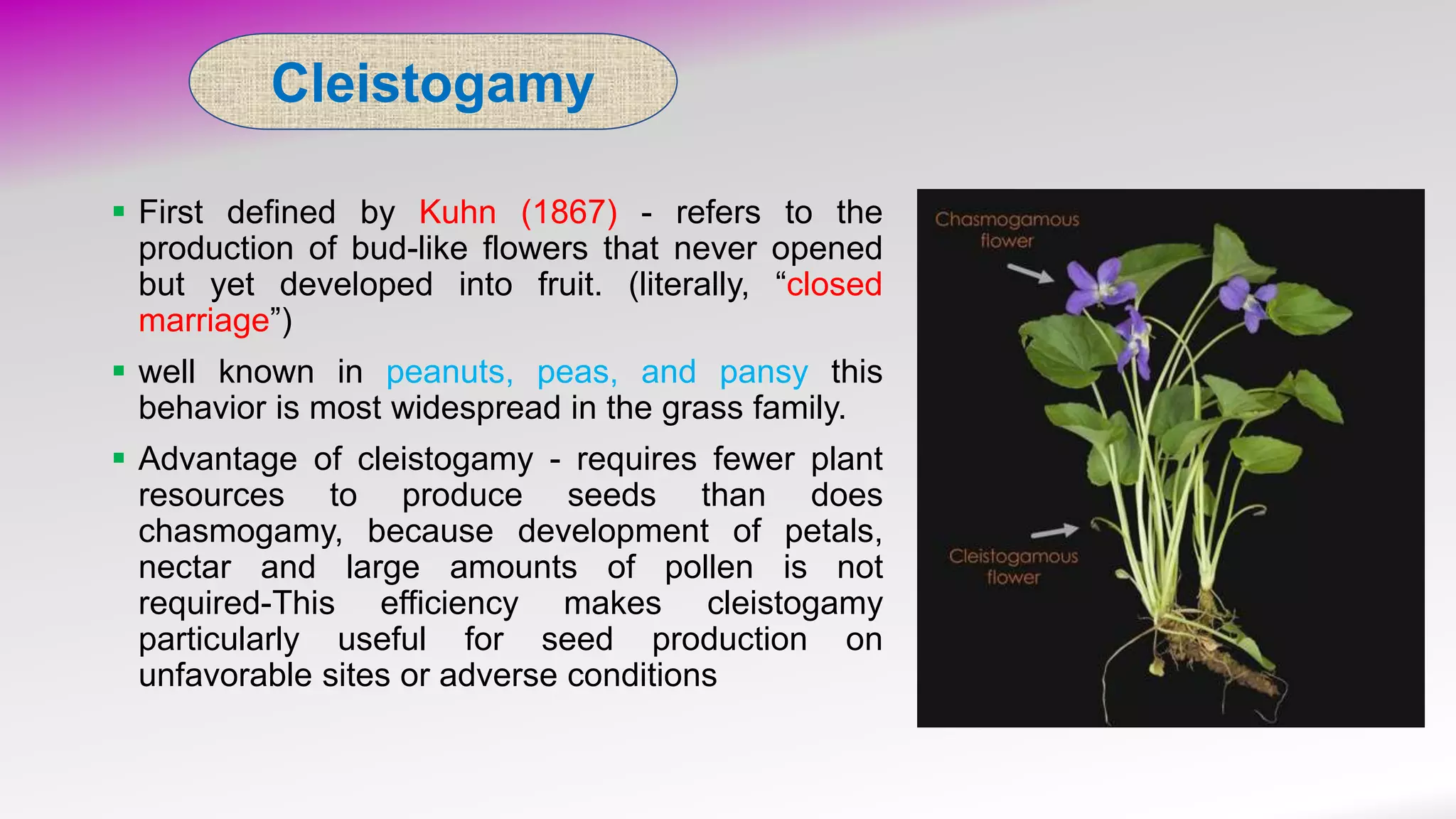 Cleistogamy and Chasmogamy in plants PPT
