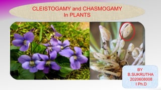 BY
B.SUKRUTHA
2020608008
I Ph.D
CLEISTOGAMY and CHASMOGAMY
In PLANTS
 