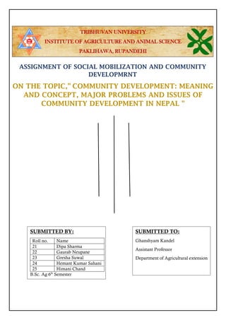Community development | PDF