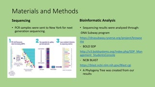 Materials and Methods
Sequencing
• PCR samples were sent to New York for next
generation sequencing.
Bioinformatic Analysis
• Sequencing results were analyzed through:
-DNA Subway program
https://dnasubway.cyverse.org/project/browse
my
- BOLD SDP
http://v3.boldsystems.org/index.php/SDP_Man
agement_StudentsConsole
- NCBI BLAST
https://blast.ncbi.nlm.nih.gov/Blast.cgi
• A Phylogeny Tree was created from our
results
 