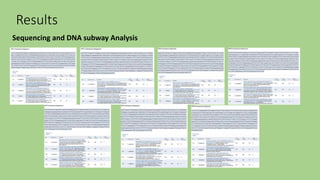 Results
Sequencing and DNA subway Analysis
 