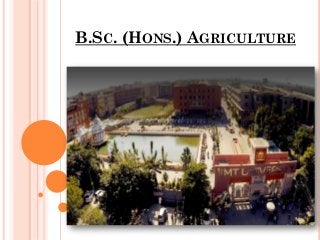 B.SC. (HONS.) AGRICULTURE
 