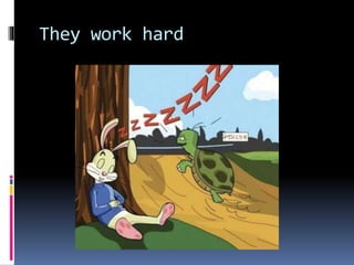 Hardwork vs luck .pptx