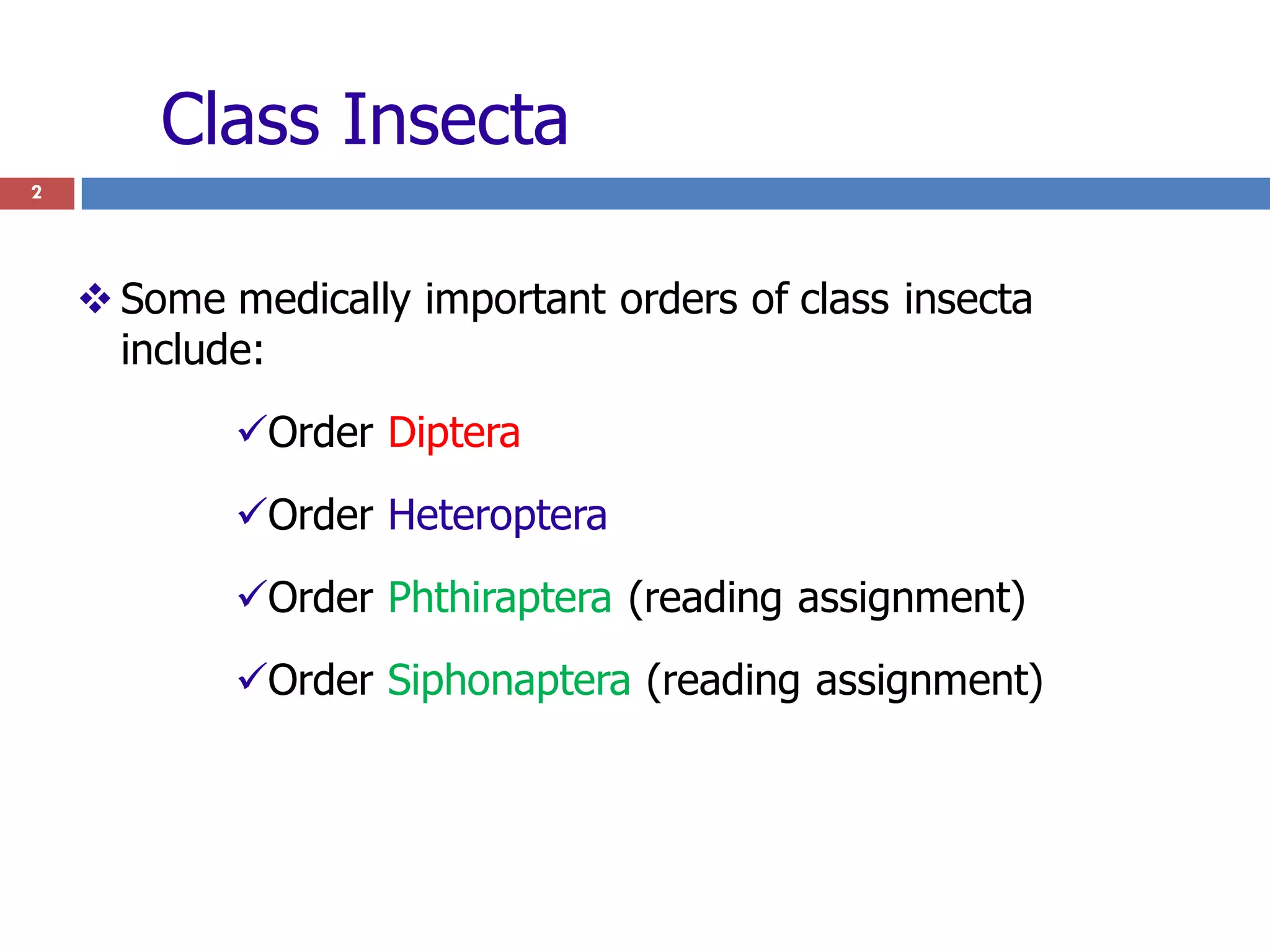 B. vector Biology 2nd class.pdf