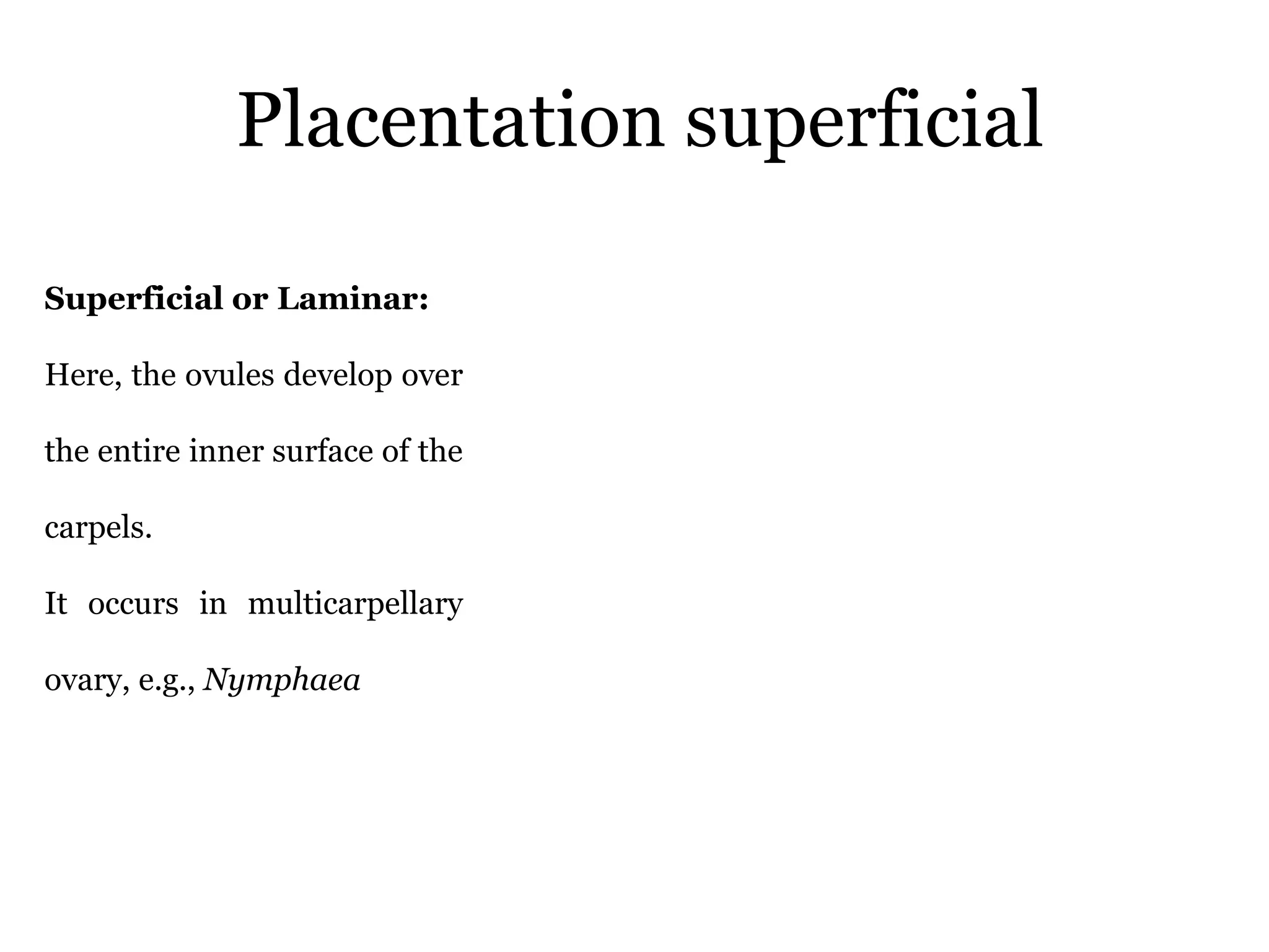 Placentation superficial
Superficial or Laminar:
Here, the ovules develop over
the entire inner surface of the
carpels.
It occurs in multicarpellary
ovary, e.g., Nymphaea
 