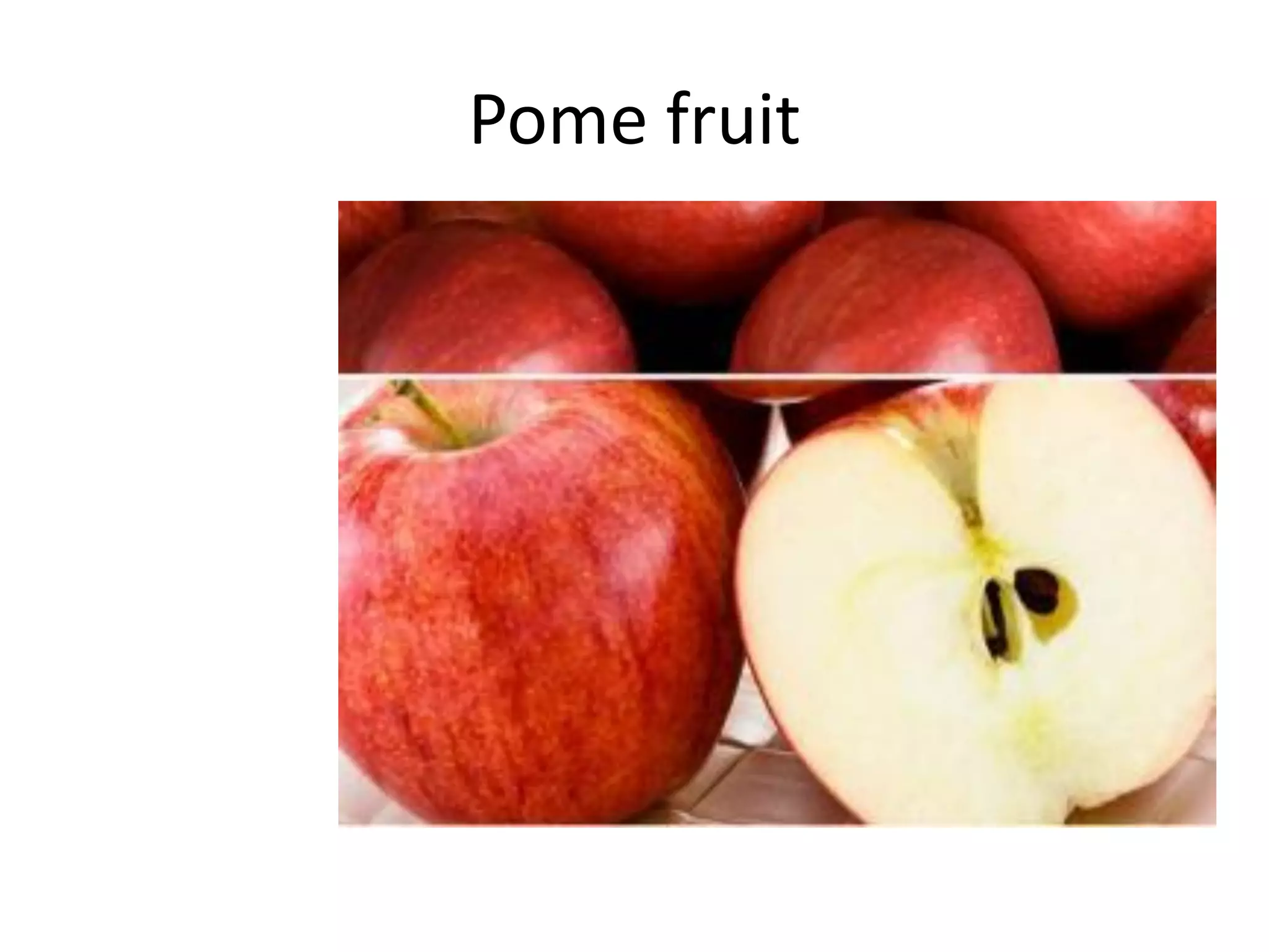 Pome fruit
 