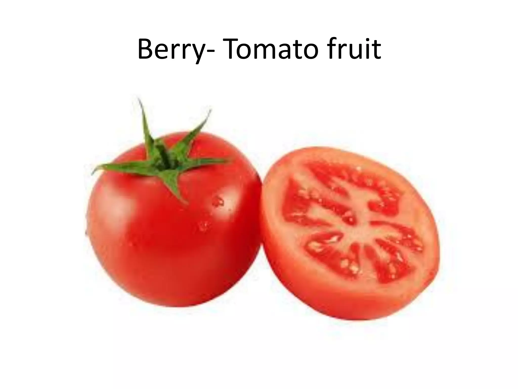 Berry- Tomato fruit
 