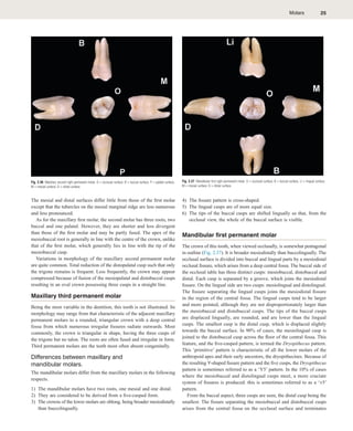B.K.B. Berkovitz_ G R Holland_ Bernard J Moxham - Oral Anatomy ...