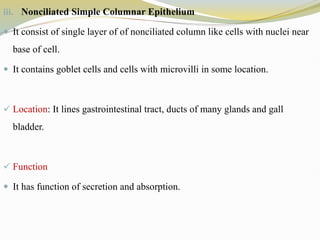 iii. Nonciliated Simple Columnar Epithelium
 It consist of single layer of of nonciliated column like cells with nuclei near
base of cell.
 It contains goblet cells and cells with microvilli in some location.
 Location: It lines gastrointestinal tract, ducts of many glands and gall
bladder.
 Function
 It has function of secretion and absorption.
 