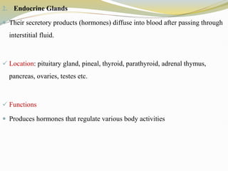 2. Endocrine Glands
 Their secretory products (hormones) diffuse into blood after passing through
interstitial fluid.
 Location: pituitary gland, pineal, thyroid, parathyroid, adrenal thymus,
pancreas, ovaries, testes etc.
 Functions
 Produces hormones that regulate various body activities
 