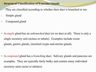 Structural Classification of Exocrine Glands
They are classified according to whether their duct is branched or not.
1. Simple gland
2. Compound gland
 A simple gland has an unbranched duct (or no duct at all). There is only a
single secretory unit (acinus or tubule). Examples include sweat
glands, gastric glands, intestinal crypts and uterine glands.
 A compound gland has a branching duct. Salivary glands and pancreas are
examples. They are typically fairly bulky and contain many individual
secretory units (acini or tubules).
 