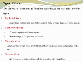  Types of tissues
On the basis of structure and functions body tissues are classified into four
types:
1. Epithelial tissue
• Covers body surfaces and lines hollow organs, body cavities, duct, and forms glands.
2. Connective tissue
• Protects, supports and binds organs.
• Stores energy as fat, provides immunity.
3. Muscular tissue
• Generates the physical force needed to make body structures move and generate body
heat.
4. Nervous tissue
• Detect changes in body and responds by generating nerve impulses.
 