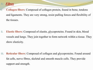 b) Fibres
i. Collagen fibers: Composed of collagen protein, found in bone, tendons
and ligaments. They are very strong, resist pulling forces and flexibility of
the tissues.
ii. Elastic fibers: Composed of elastin, glycoproteins. Found in skin, blood
vessels and lungs. They join together to form network within a tissue. They
show elasticity.
iii. Reticular fibers: Composed of collagen and glycoproteins. Found around
fat cells, nerve fibres, skeletal and smooth muscle cells. They provide
support and strength.
 
