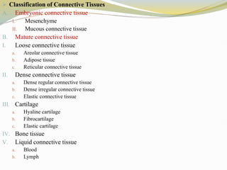  Classification of Connective Tissues
A. Embryonic connective tissue
I. Mesenchyme
II. Mucous connective tissue
B. Mature connective tissue
I. Loose connective tissue
a. Areolar connective tissue
b. Adipose tissue
c. Reticular connective tissue
II. Dense connective tissue
a. Dense regular connective tissue
b. Dense irregular connective tissue
c. Elastic connective tissue
III. Cartilage
a. Hyaline cartilage
b. Fibrocartilage
c. Elastic cartilage
IV. Bone tissue
V. Liquid connective tissue
a. Blood
b. Lymph
 