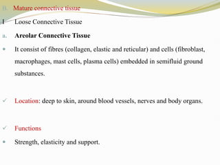 B. Mature connective tissue
I Loose Connective Tissue
a. Areolar Connective Tissue
 It consist of fibres (collagen, elastic and reticular) and cells (fibroblast,
macrophages, mast cells, plasma cells) embedded in semifluid ground
substances.
 Location: deep to skin, around blood vessels, nerves and body organs.
 Functions
 Strength, elasticity and support.
 