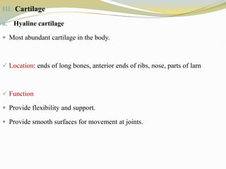 III. Cartilage
a. Hyaline cartilage
 Most abundant cartilage in the body.
 Location: ends of long bones, anterior ends of ribs, nose, parts of larn
 Function
 Provide flexibility and support.
 Provide smooth surfaces for movement at joints.
 