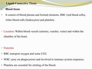 V. Liquid Connective Tissue
a. Blood tissue
 It consist of blood plasma and formed elements, RBC (red blood cells),
white blood cells (leukocytes) and platelets.
 Location: Within blood vessels (arteries, venules, veins) and within the
chamber of the heart.
 Function
 RBC transport oxygen and some CO2.
 WBC carry on phagocytosis and involved in immune system responses.
 Platelets are essential for clotting of the blood.
 