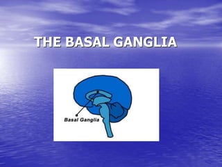 THE BASAL GANGLIA
 