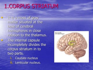 B.GANGLIA (2).ppt