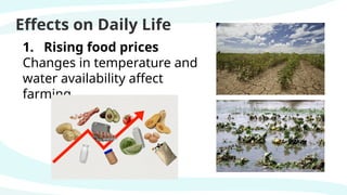 Effects on Daily Life
1. Rising food prices
Changes in temperature and
water availability affect
farming.
 