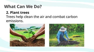 What Can We Do?
2. Plant trees
Trees help clean the air and combat carbon
emissions.
 