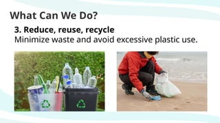 What Can We Do?
3. Reduce, reuse, recycle
Minimize waste and avoid excessive plastic use.
 
