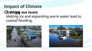 Impact of Climate
Change
2. Rising sea levels
Melting ice and expanding warm water lead to
coastal flooding.
 