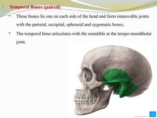 3. Temporal Bones (paired)
 These bones lie one on each side of the head and form immovable joints
with the parietal, occipital, sphenoid and zygomatic bones.
 The temporal bone articulates with the mendible at the tempo-mandibular
joint.
 