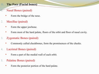 II. The Face (Facial bones)
1. Nasal Bones (paired)
 Form the bridge of the nose.
2. Maxillae (paired)
 Form the upper jawbone.
 Form most of the hard palate, floors of the orbit and floor of nasal cavity.
3. Zygomatic Bones (paired)
 Commonly called cheekbones, form the prominences of the cheeks.
4. Lacrimal Bones (paired)
 Form a part of the medial wall of each orbit.
5. Palatine Bones (paired)
 Form the posterior portion of the hard palate.
 
