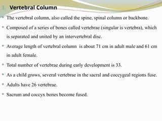 3. Vertebral Column
 The vertebral column, also called the spine, spinal column or backbone.
 Composed of a series of bones called vertebrae (singular is vertebra), which
is separated and united by an intervertebral disc.
 Average length of vertebral column is about 71 cm in adult male and 61 cm
in adult female.
 Total number of vertebrae during early development is 33.
 As a child grows, several vertebrae in the sacral and coccygeal regions fuse.
 Adults have 26 vertebrae.
 Sacrum and coccyx bones become fused.
 