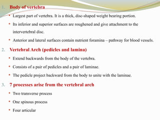 1. Body of vertebra
 Largest part of vertebra. It is a thick, disc-shaped weight bearing portion.
 Its inferior and superior surfaces are roughened and give attachment to the
intervertebral disc.
 Anterior and lateral surfaces contain nutrient foramina – pathway for blood vessels.
2. Vertebral Arch (pedicles and lamina)
 Extend backwards from the body of the vertebra.
 Consists of a pair of pedicles and a pair of laminae.
 The pedicle project backward from the body to unite with the laminae.
3. 7 processes arise from the vertebral arch
 Two transverse process
 One spinous process
 Four articular
 