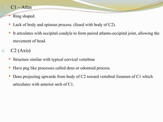 i. C1 – Atlas
 Ring shaped.
 Lack of body and spinous process. (fused with body of C2).
 It artculates with occipital condyle to form paired atlanto-occipital joint, allowing the
movement of head.
ii. C2 (Axis)
 Structure similar with typical cervical vertebrae
 Have peg like processes called dens or odontoid process.
 Dens projecting upwards from body of C2 toward vertebral foramen of C1 which
articulates with anterior arch of C1.
 
