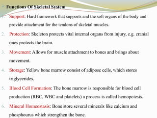  Functions Of Skeletal System
1. Support: Hard framework that supports and the soft organs of the body and
provide attachment for the tendons of skeletal muscles.
2. Protection: Skeleton protects vital internal organs from injury, e.g. cranial
ones protects the brain.
3. Movement: Allows for muscle attachment to bones and brings about
movement.
4. Storage: Yellow bone marrow consist of adipose cells, which stores
triglycerides.
5. Blood Cell Formation: The bone marrow is responsible for blood cell
production (RBC, WBC and platelets) a process is called hemopoiesis.
6. Mineral Homeostasis: Bone store several minerals like calcium and
phosphourus which strengthen the bone.
 