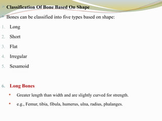  Classification Of Bone Based On Shape
 Bones can be classified into five types based on shape:
1. Long
2. Short
3. Flat
4. Irregular
5. Sesamoid
6. Long Bones
 Greater length than width and are slightly curved for strength.
 e.g., Femur, tibia, fibula, humerus, ulna, radius, phalanges.
 
